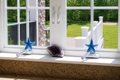 Decorative starfish and amethyst crystal on a windowsill with a view of a garden.