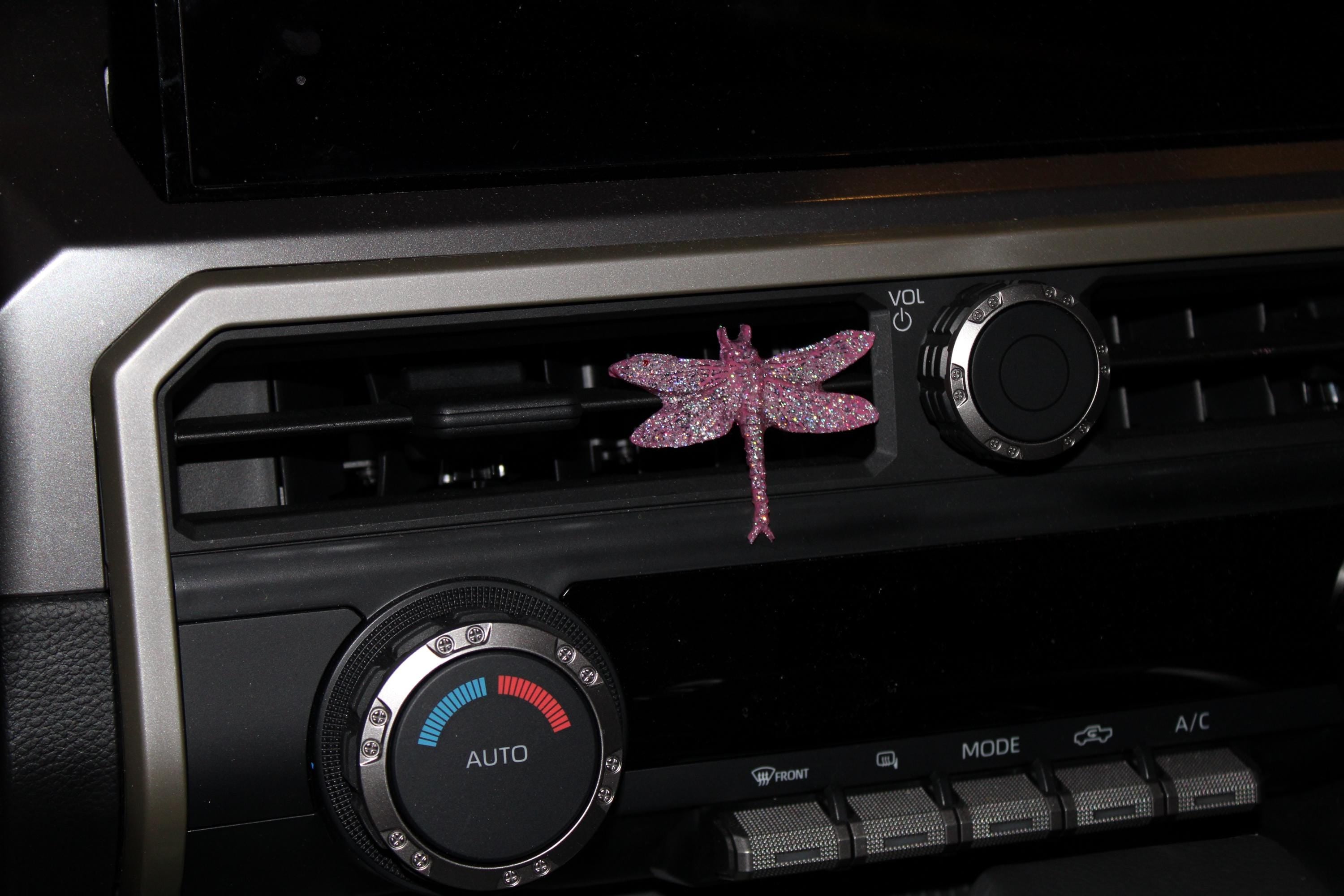 Car dashboard with a dragonfly-shaped car vent clip and control knobs.