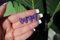 Purple glittery bow-shaped earrings held in a hand with a blurred green background
